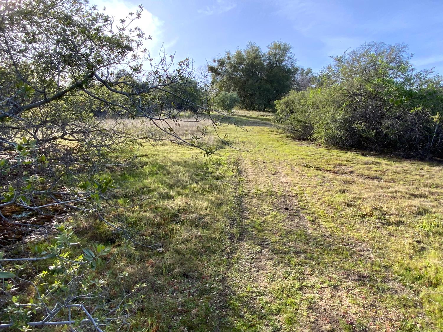 0 0 5.36 AC N Dome Dr, Coarsegold, CA 93614