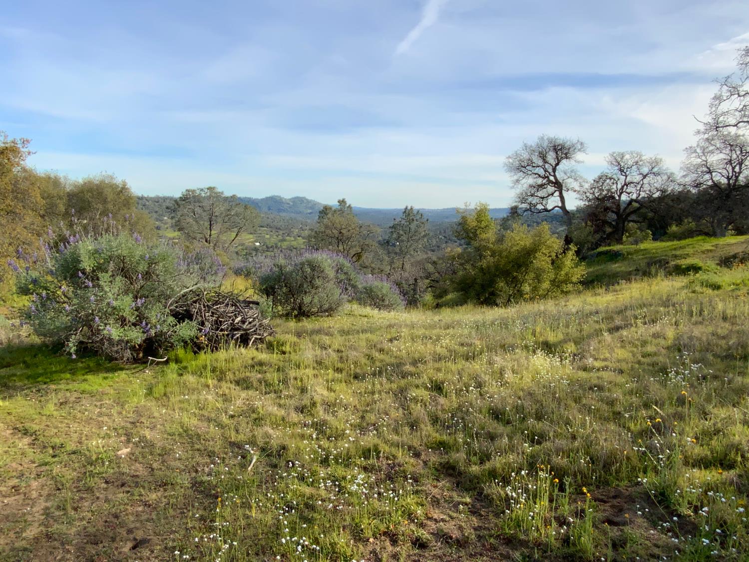 0 0 5.36 AC N Dome Dr, Coarsegold, CA 93614