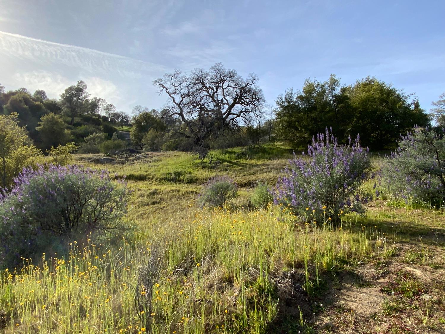 0 0 5.36 AC N Dome Dr, Coarsegold, CA 93614