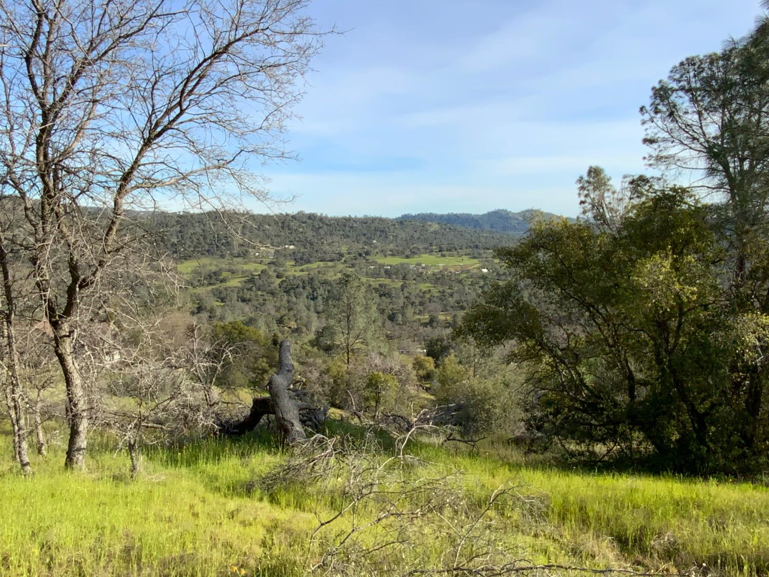 0 0 5.36 AC N Dome Dr, Coarsegold, CA 93614