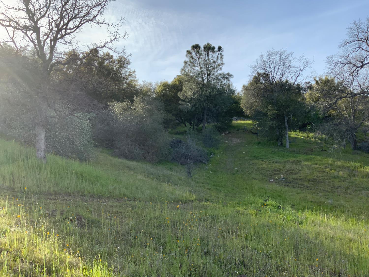 0 0 5.36 AC N Dome Dr, Coarsegold, CA 93614