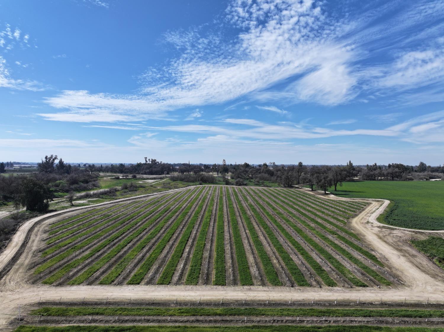 0 0000 E Mount Whitney Avenue, Laton, CA 93242