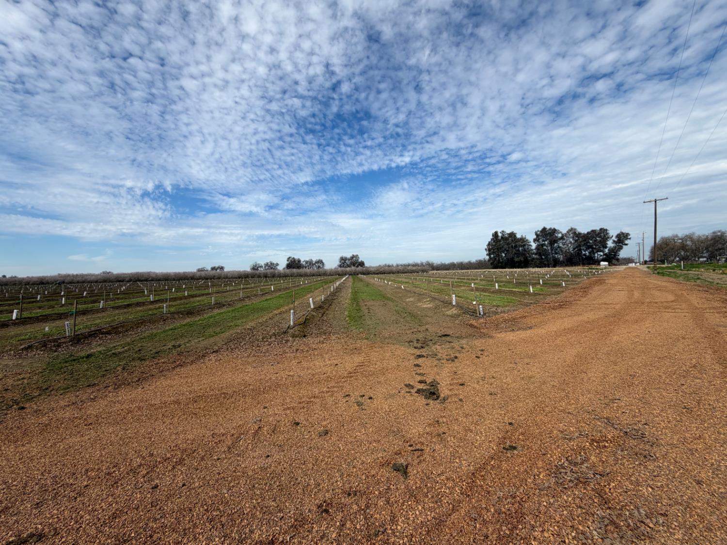 0 0000 E Mount Whitney Avenue, Laton, CA 93242