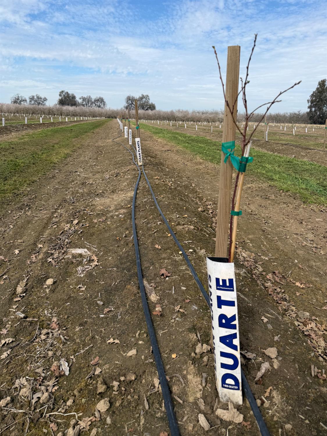 0 0000 E Mount Whitney Avenue, Laton, CA 93242