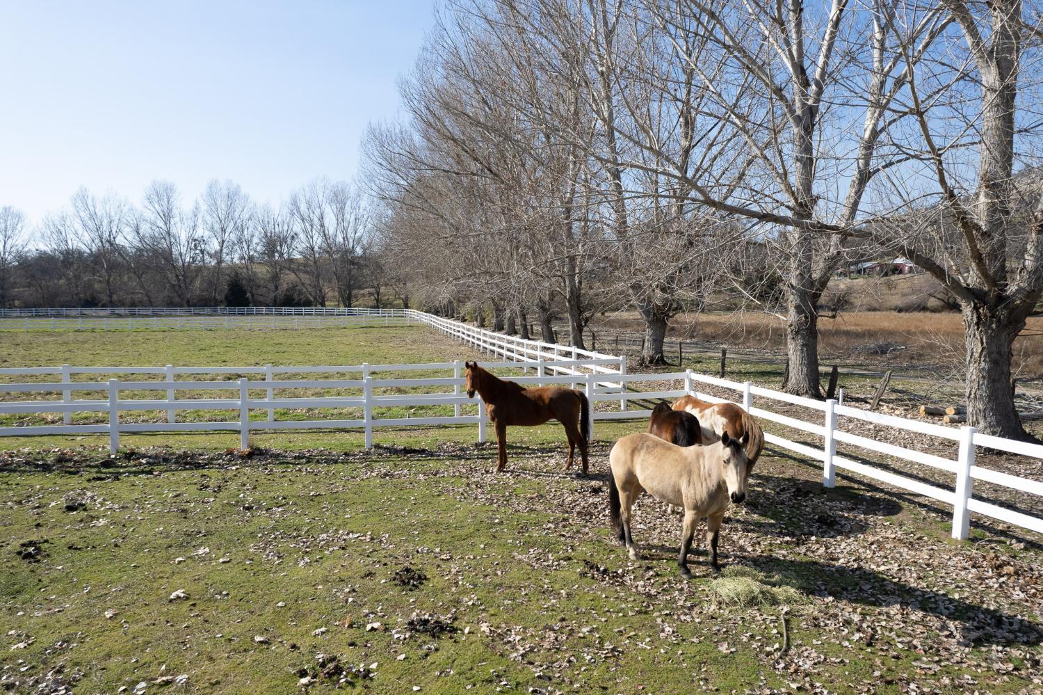 36039 Cranmore Ln, Auberry, CA 93602