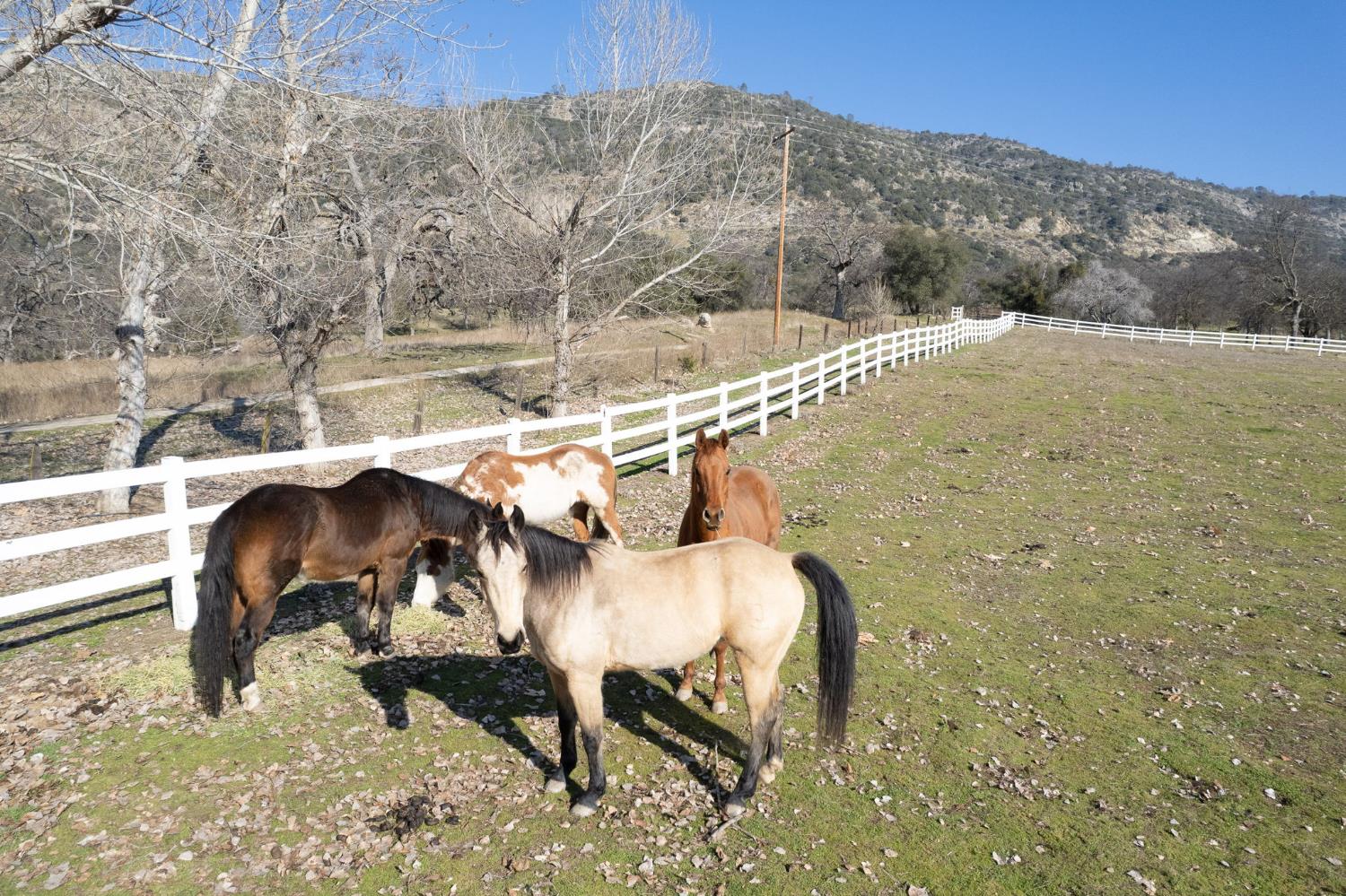 36039 Cranmore Ln, Auberry, CA 93602