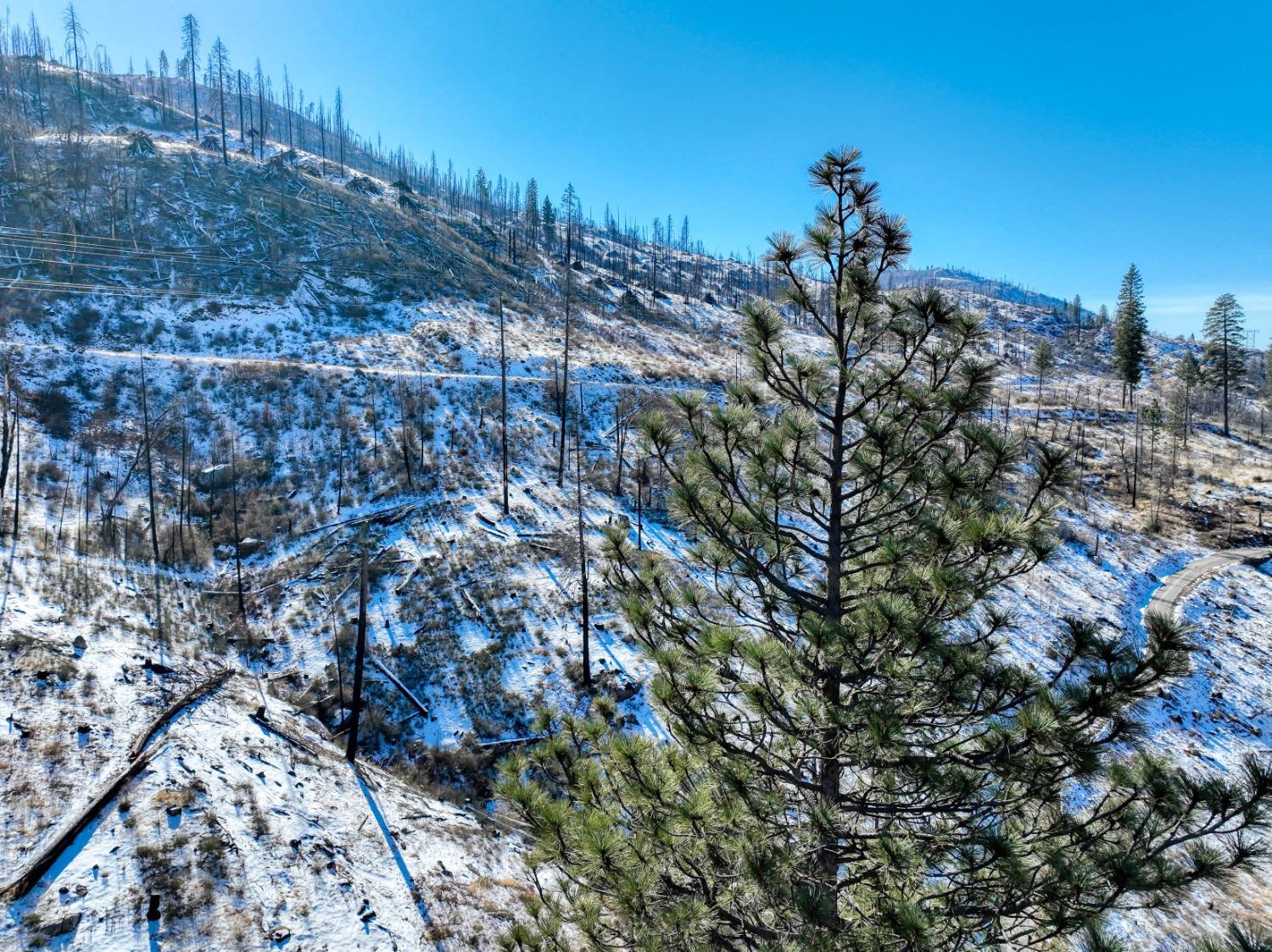 51823 Camp Sierra Street, Shaver Lake, CA 93664