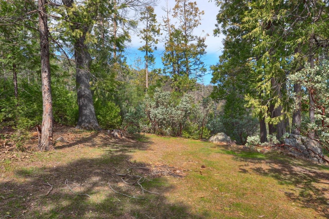 36328 Finegold Creek Dr, North Fork, CA 93643