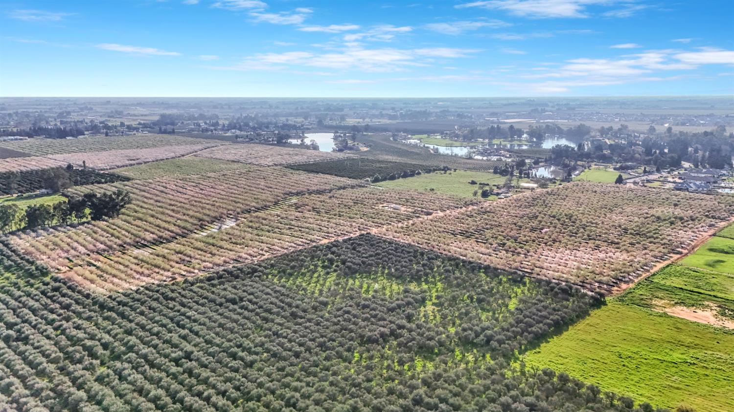 12009 E Shaw Ave, Clovis, CA 93619