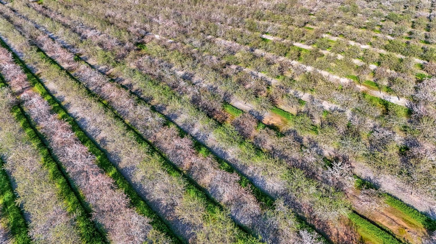 12009 E Shaw Ave, Clovis, CA 93619