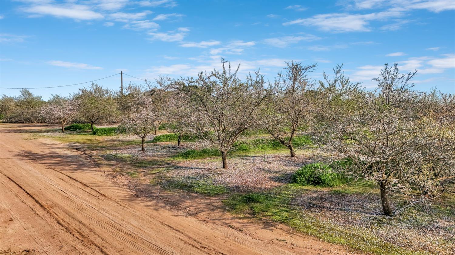 12009 E Shaw Ave, Clovis, CA 93619