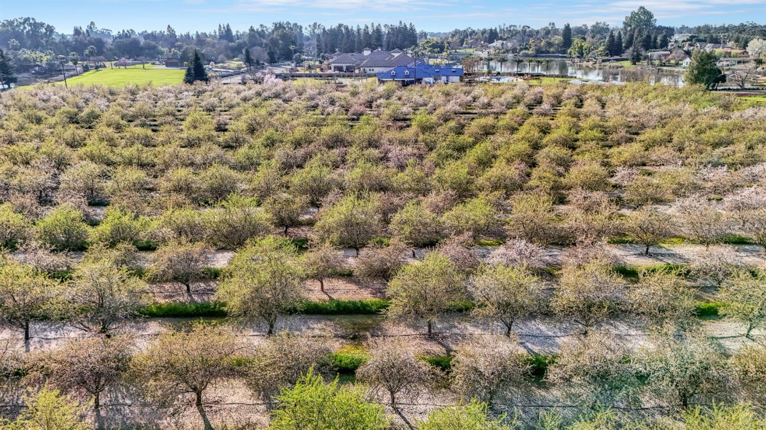 12009 E Shaw Ave, Clovis, CA 93619