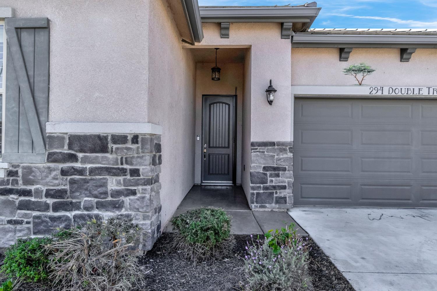 294 Double Tree Ct, Madera, CA 93637