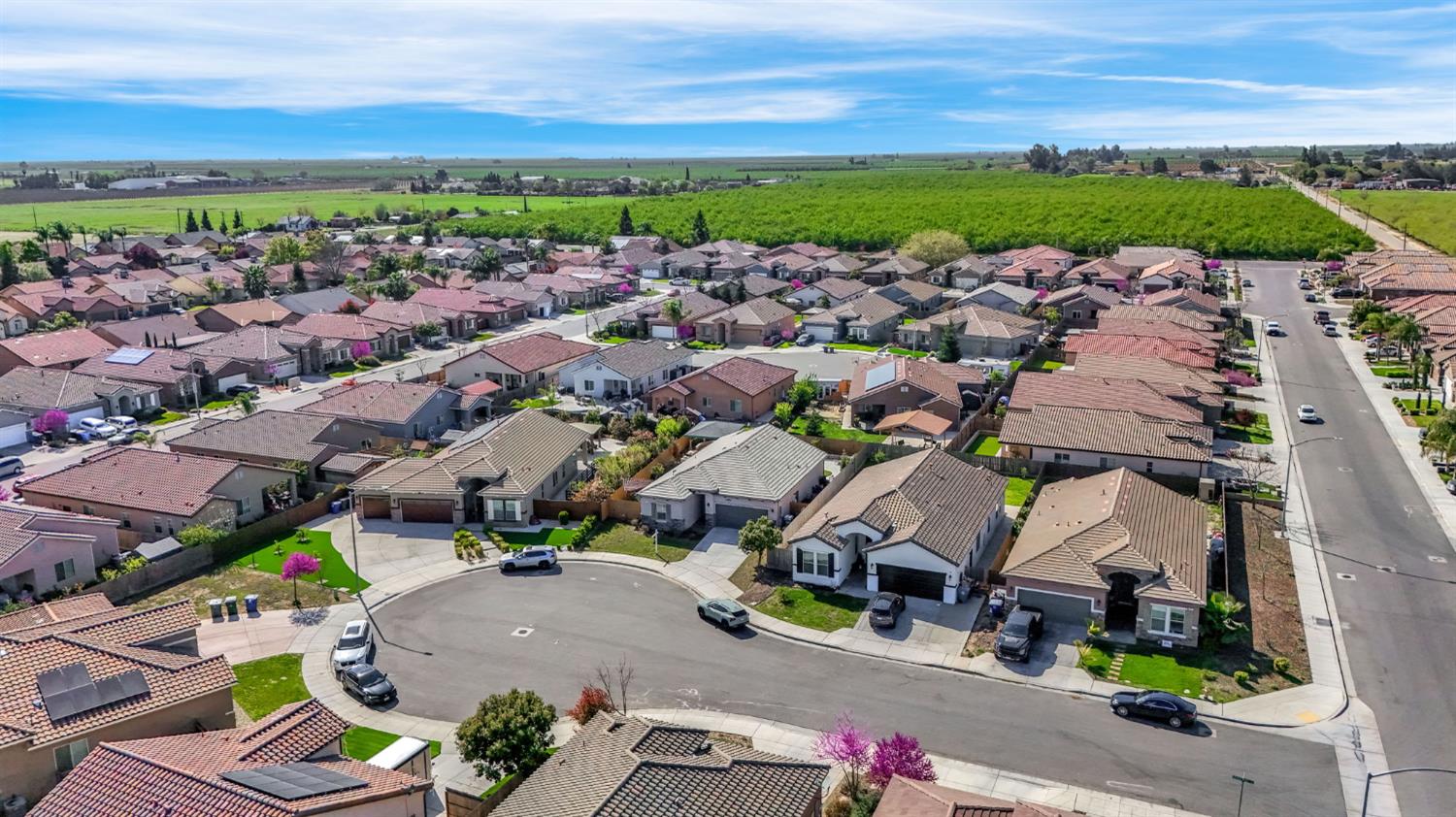 294 Double Tree Ct, Madera, CA 93637