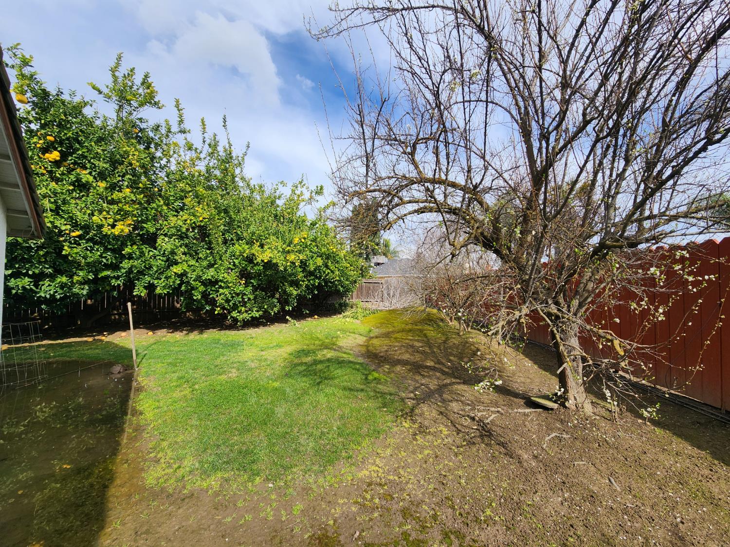 991 Baylor Ct, Madera, CA 93637