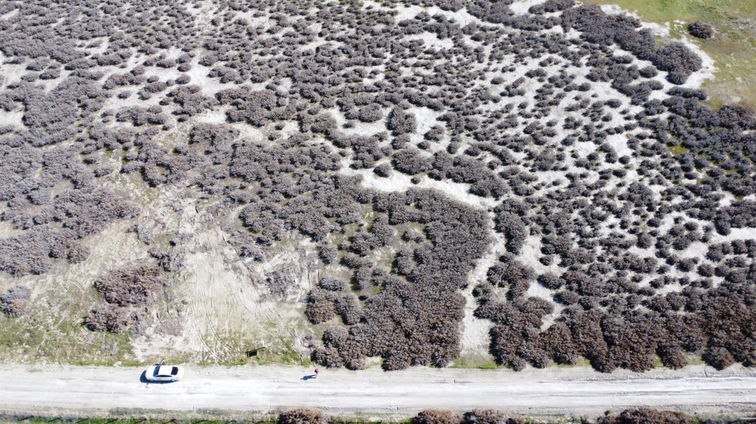 0 0 Highway 41, Lemoore, CA 93245