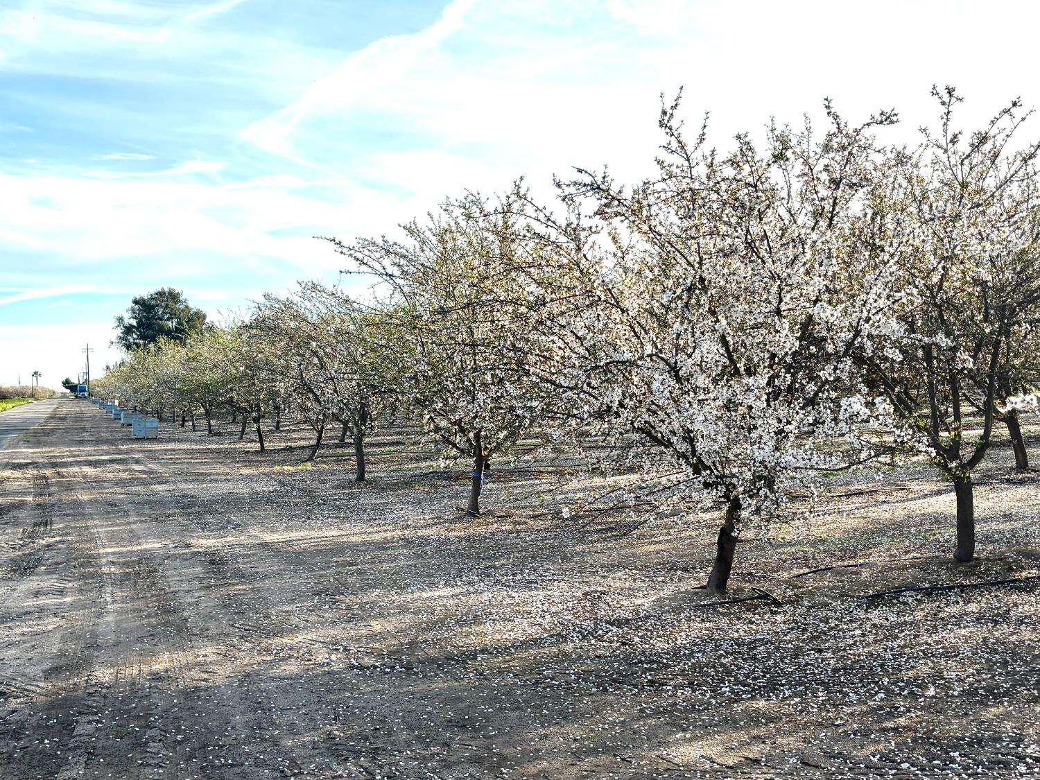 16722 Rd 18, Madera, CA 93637