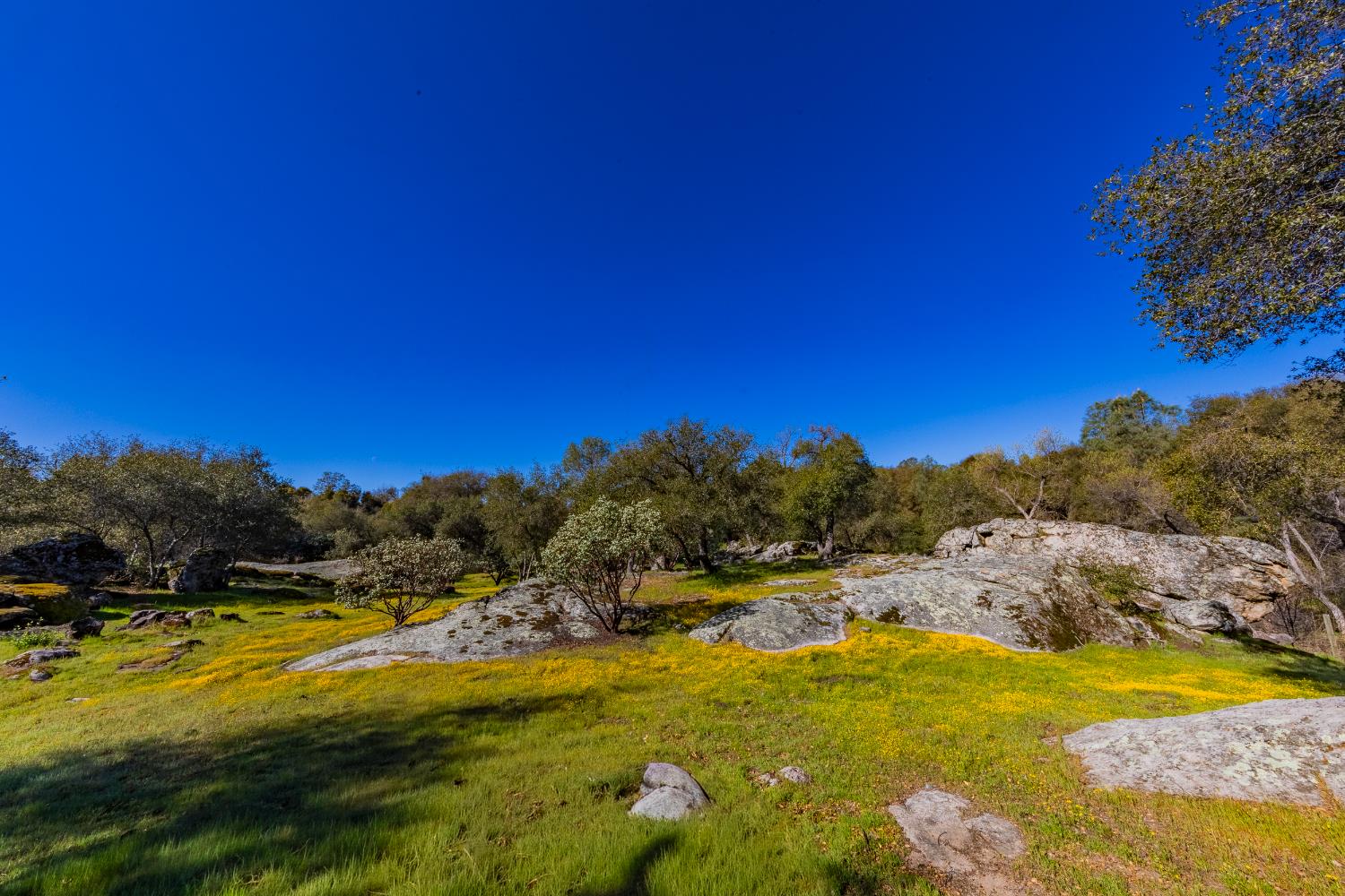 45740 Green Lake Ct, Coarsegold, CA 93614