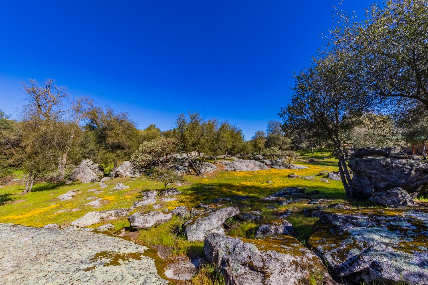 45740 Green Lake Ct, Coarsegold, CA 93614