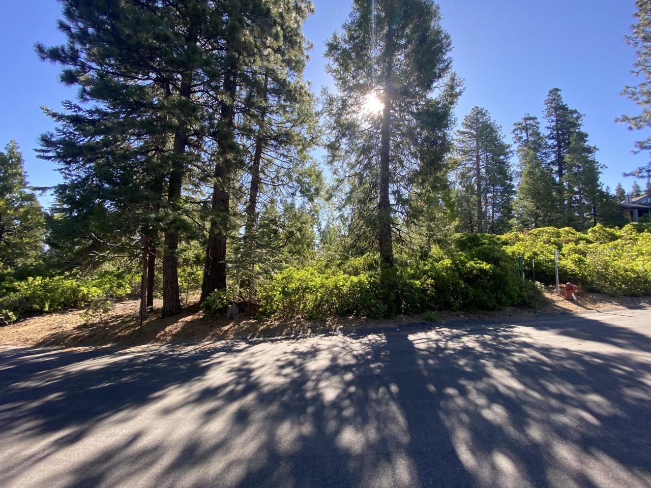 42437 Bretz Point Ln, Shaver Lake, CA 93664