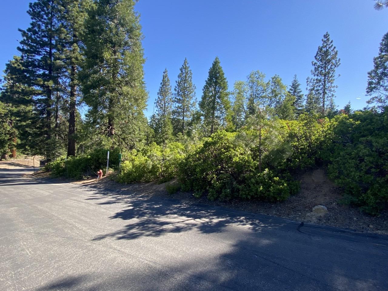 42437 Bretz Point Ln, Shaver Lake, CA 93664