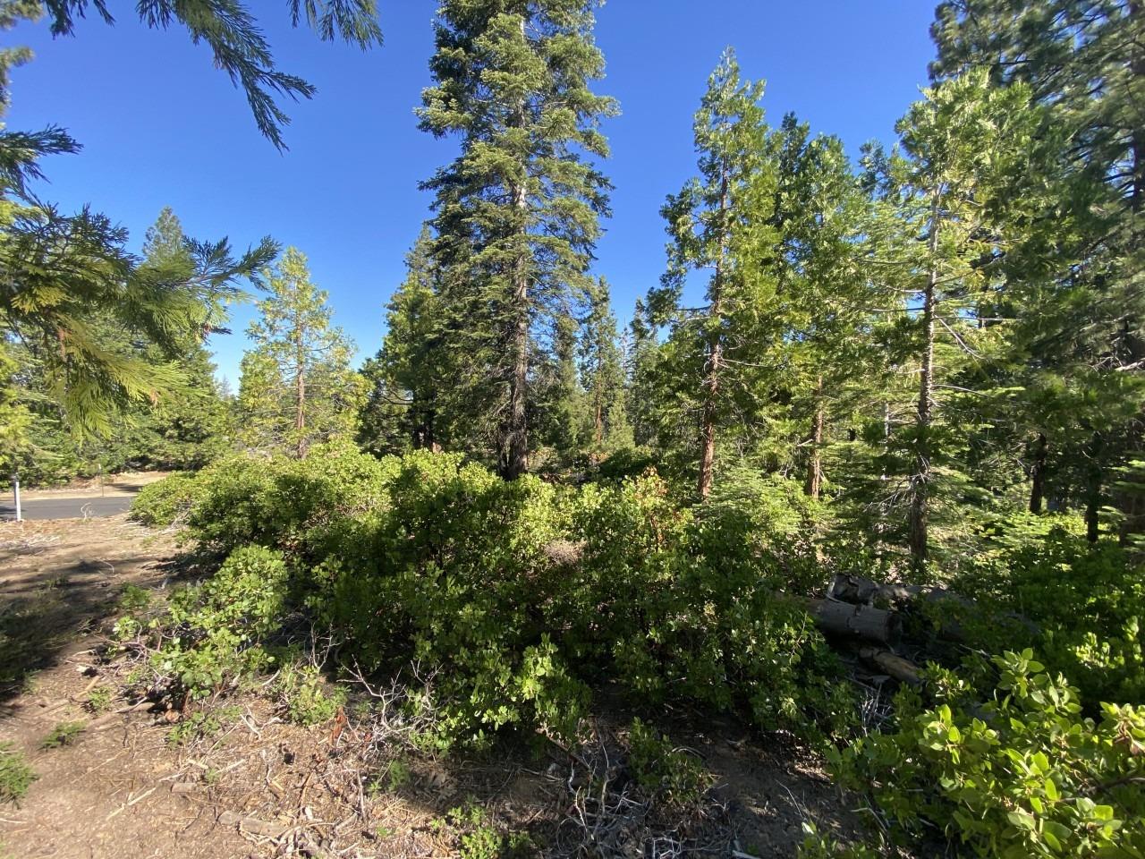 42437 Bretz Point Ln, Shaver Lake, CA 93664