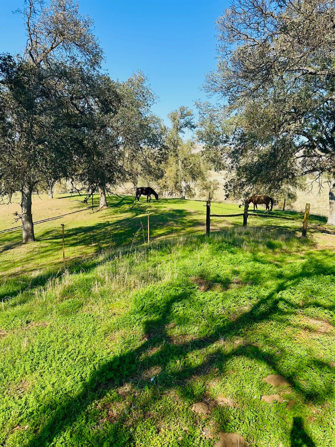 10740 Ferguson Rd, Clovis, CA 93619