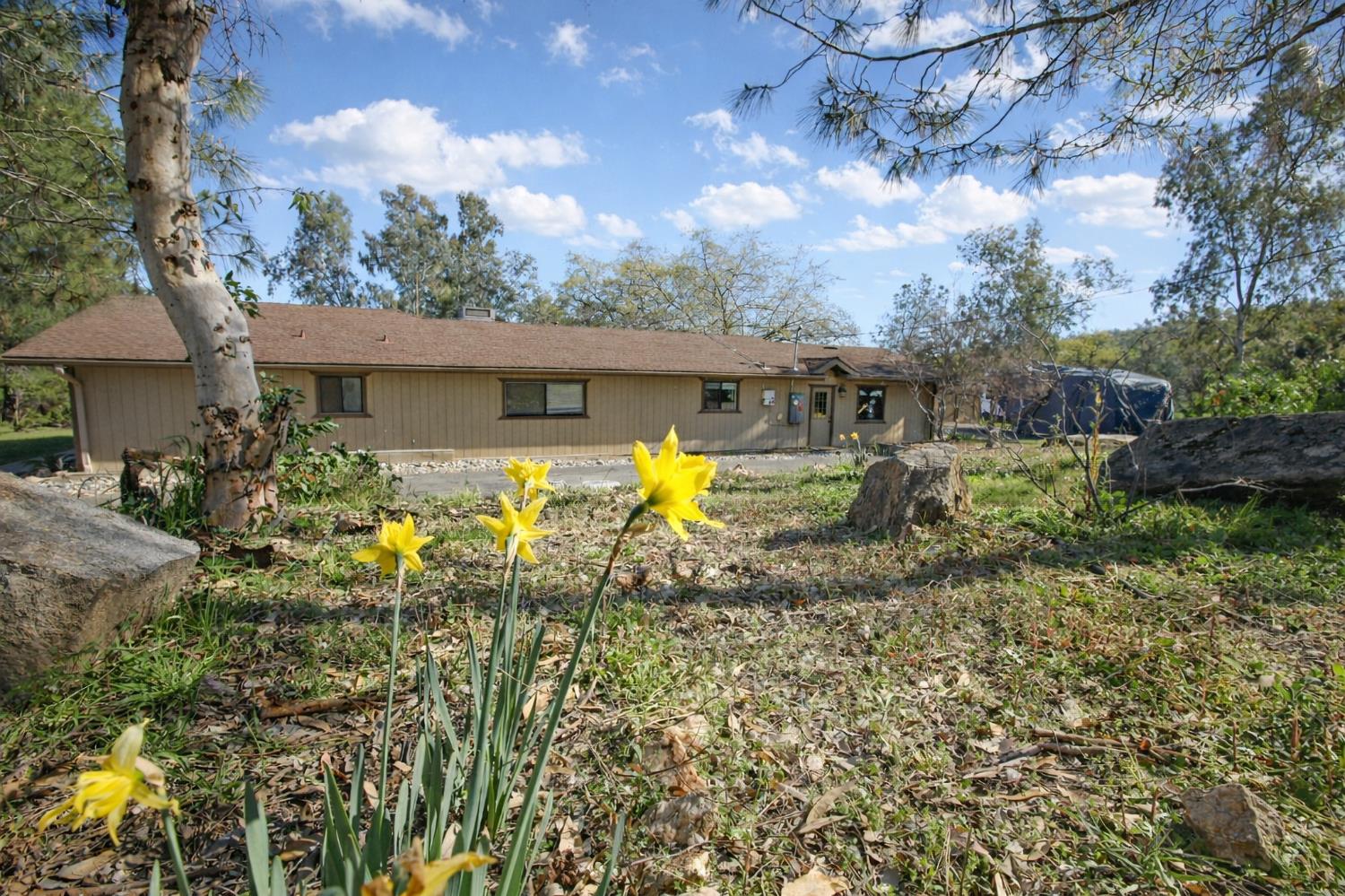 30451 Horseshoe Dr, Coarsegold, CA 93614