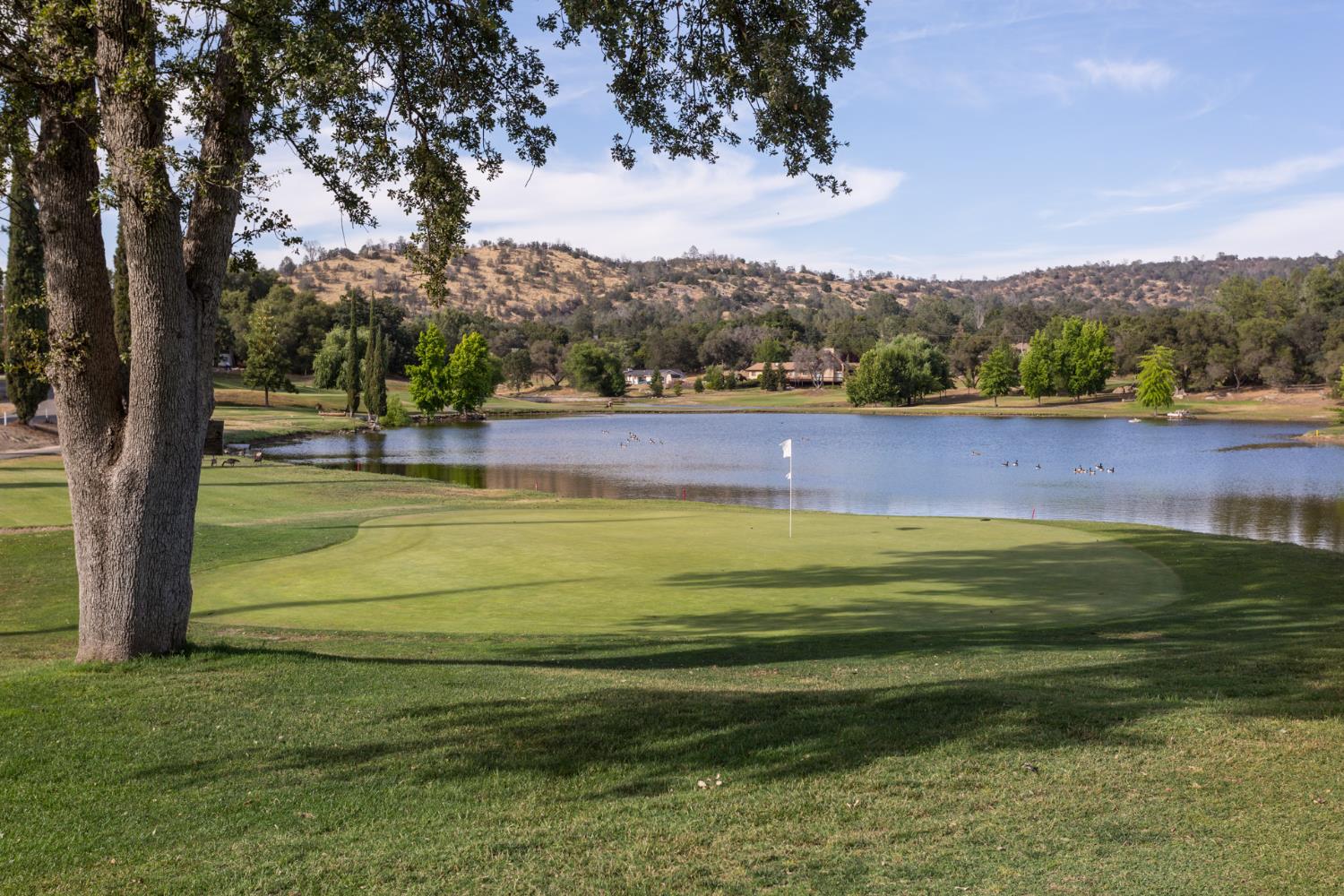 29348 Powder Horn Way, Coarsegold, CA 93614