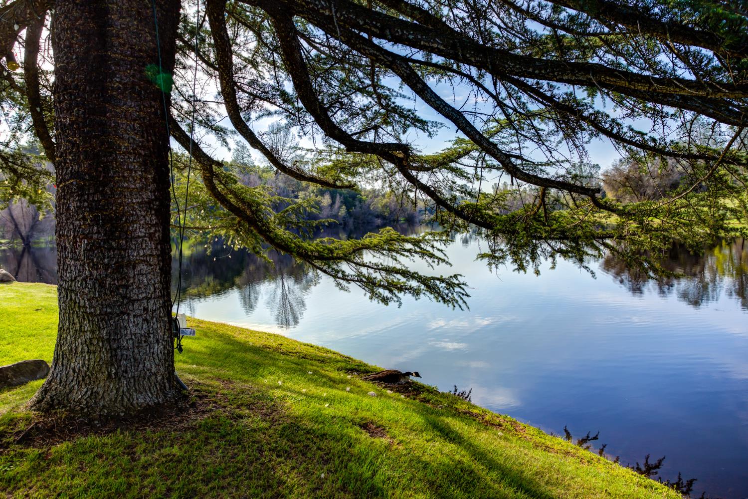 29348 Powder Horn Way, Coarsegold, CA 93614