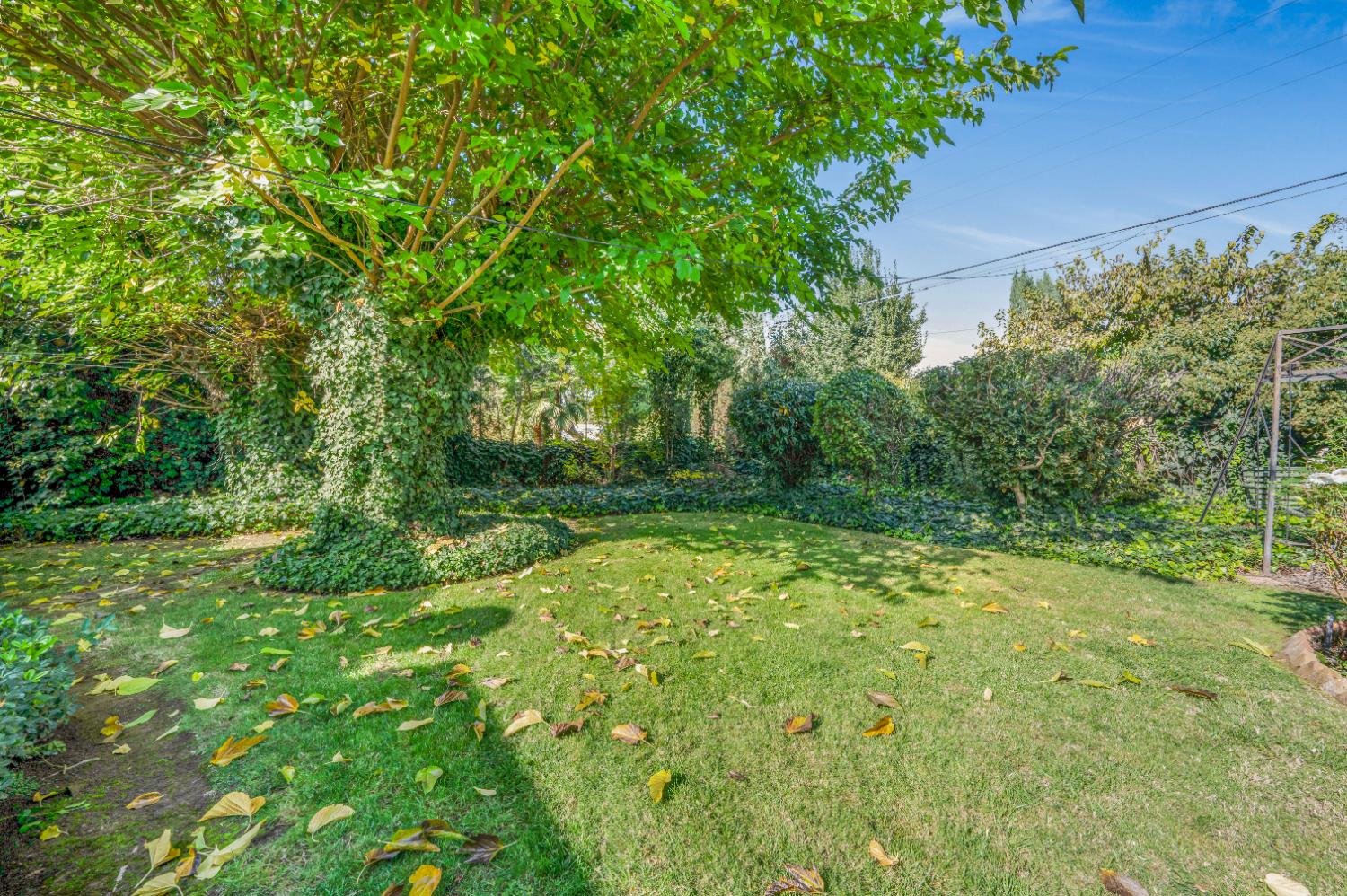 1041 E Alamos Ave, Fresno, CA 93704