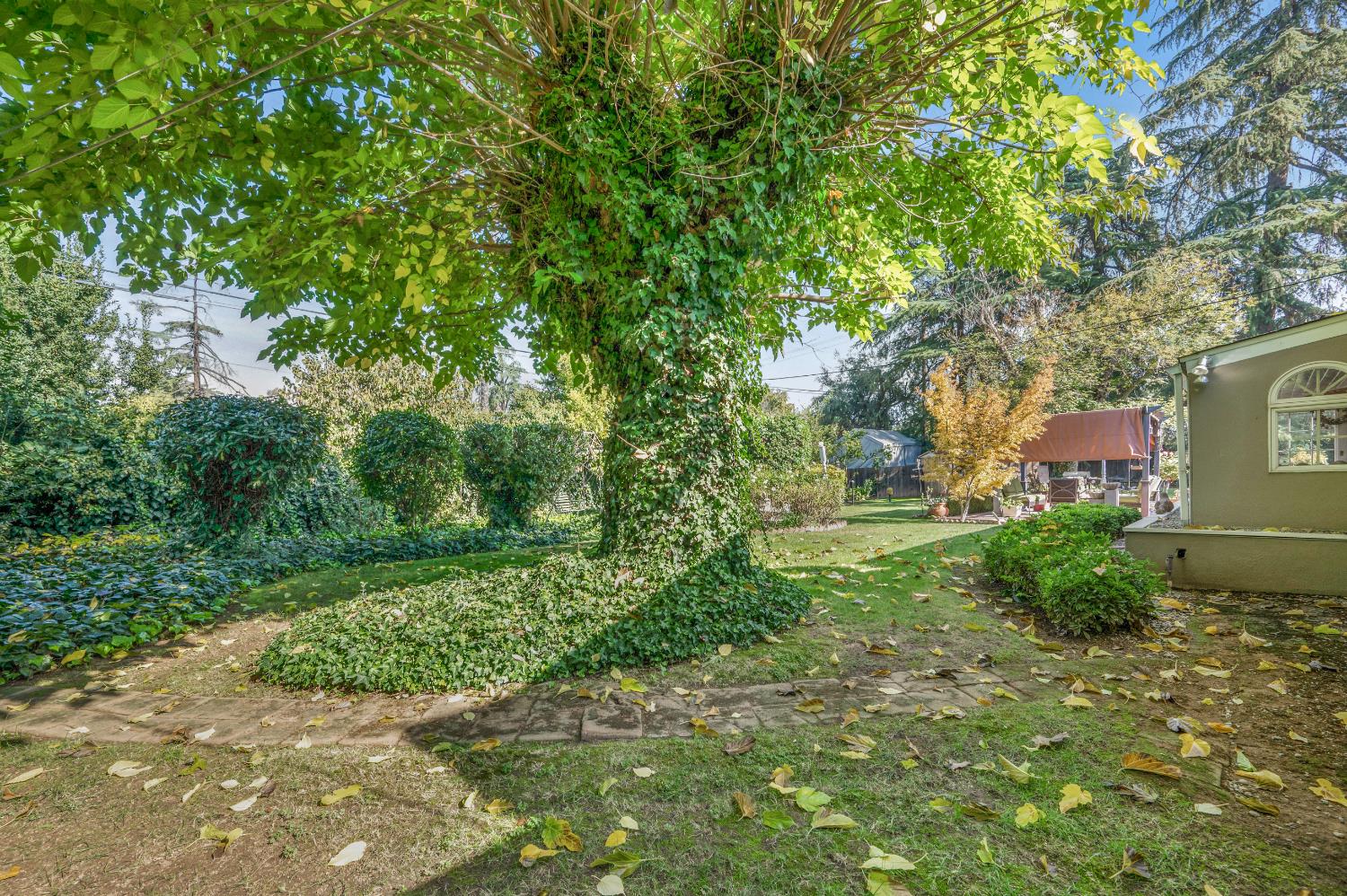 1041 E Alamos Ave, Fresno, CA 93704