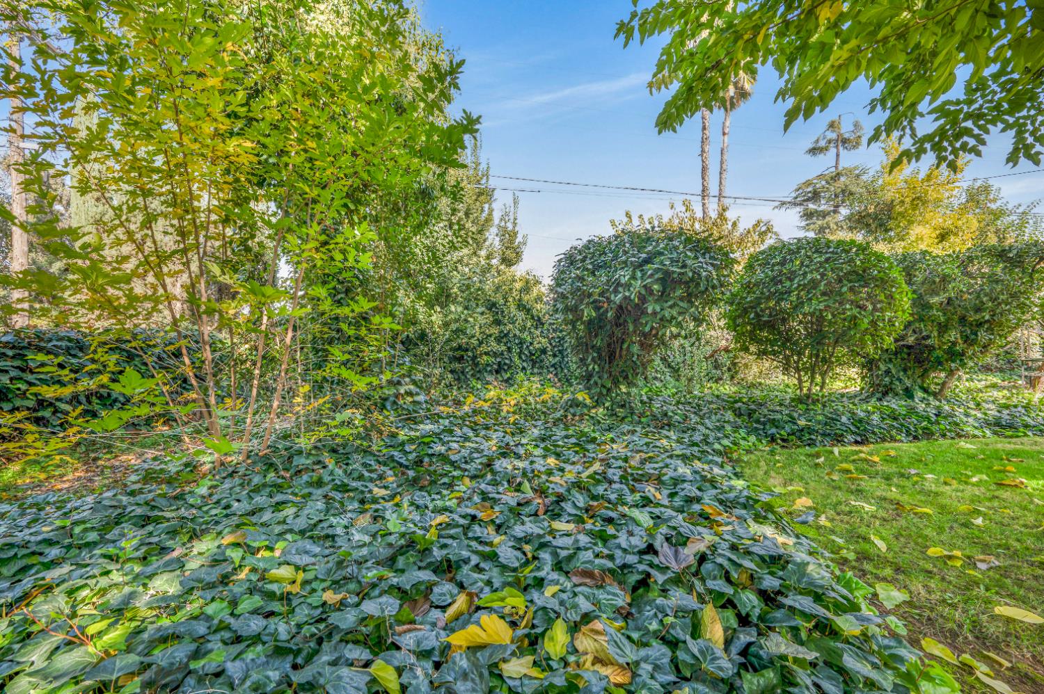 1041 E Alamos Ave, Fresno, CA 93704