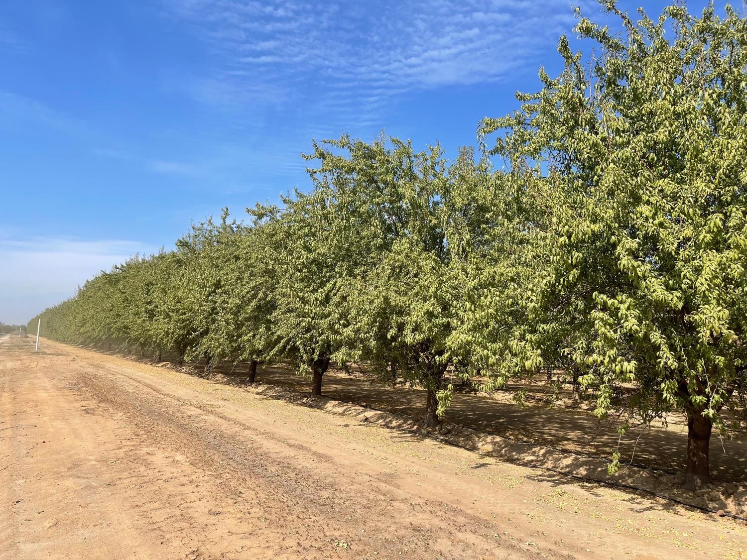 10277 Road 28 1/2, Madera, CA 93637