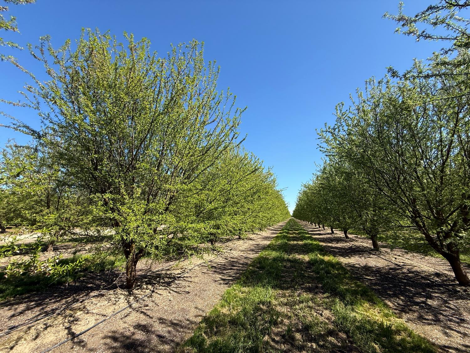 10277 Road 28 1/2, Madera, CA 93637