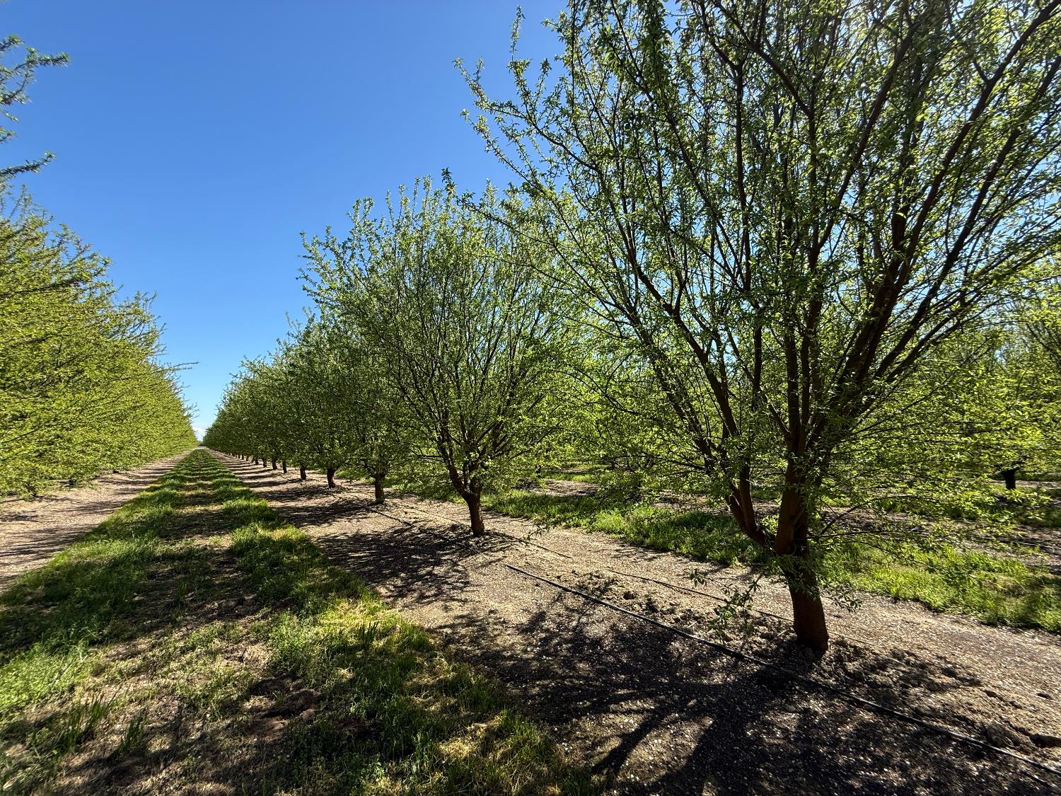 10277 Road 28 1/2, Madera, CA 93637