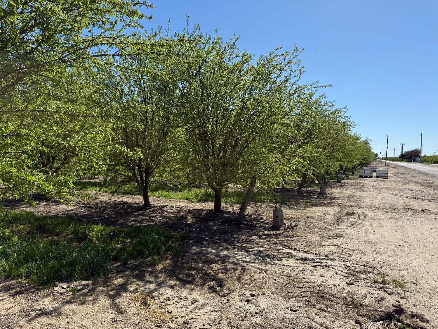 10277 Road 28 1/2, Madera, CA 93637