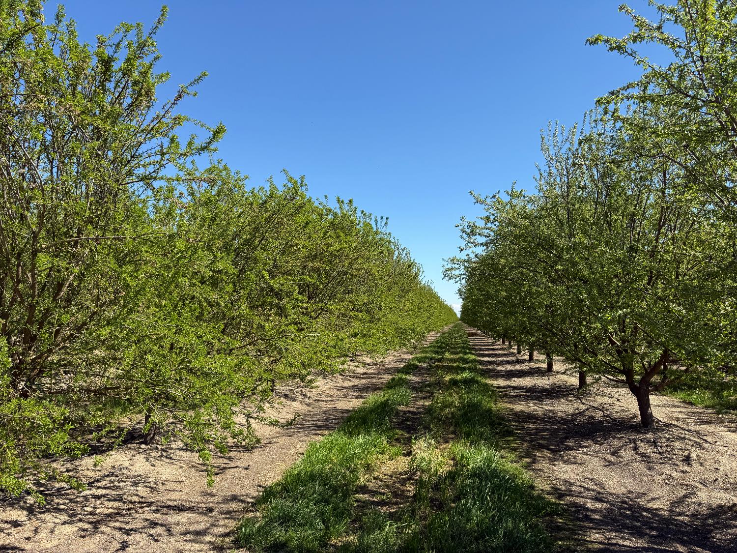 10277 Road 28 1/2, Madera, CA 93637