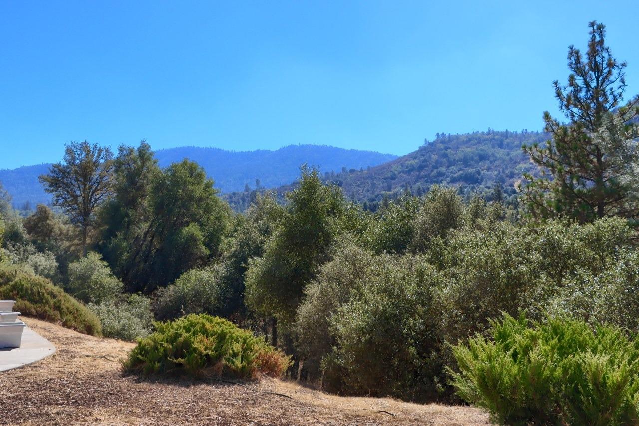 38788 Goldenrod Ln, Oakhurst, CA 93644