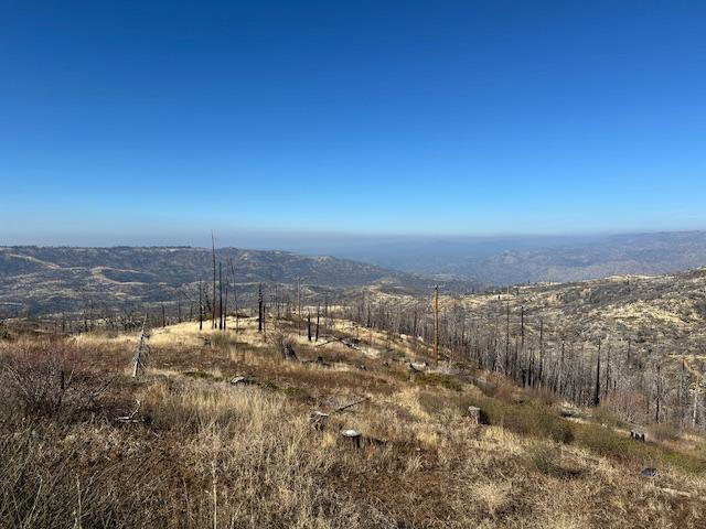 39915 Big Shuteye Ln, Shaver Lake, CA 93664