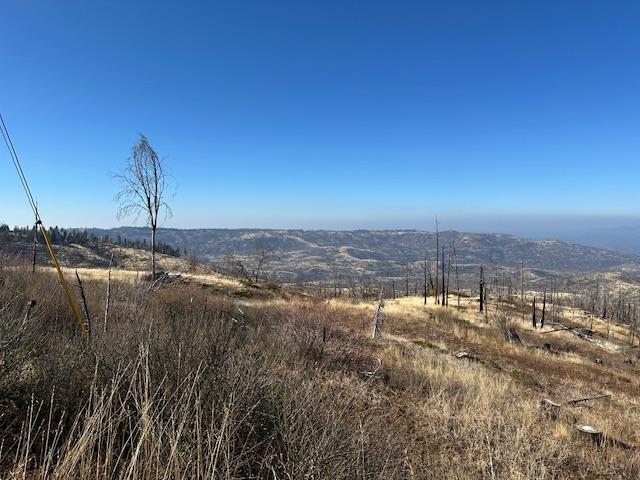 39915 Big Shuteye Ln, Shaver Lake, CA 93664