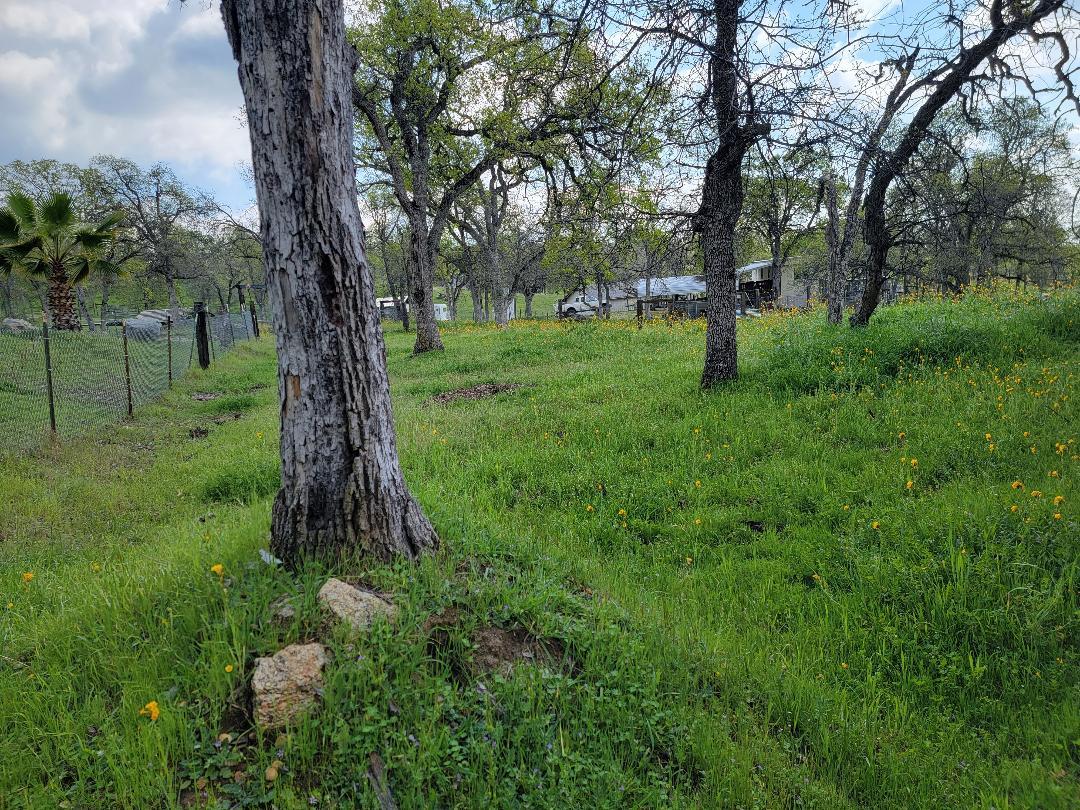 33323 Buttercup Lane, Yokuts Valley, CA 93675