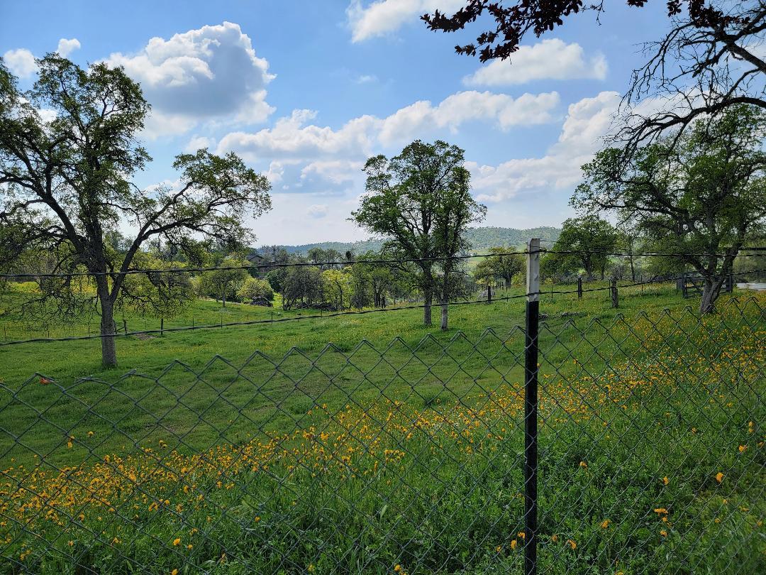 33323 Buttercup Lane, Yokuts Valley, CA 93675