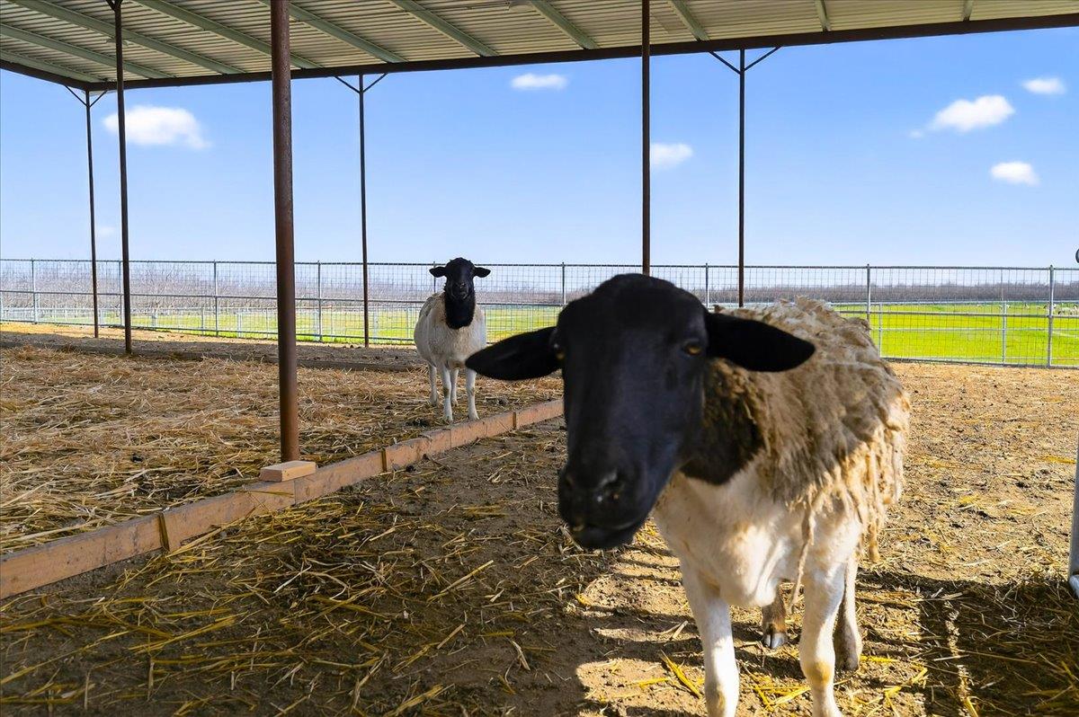 6873 20Th Ave, Lemoore, CA 93245