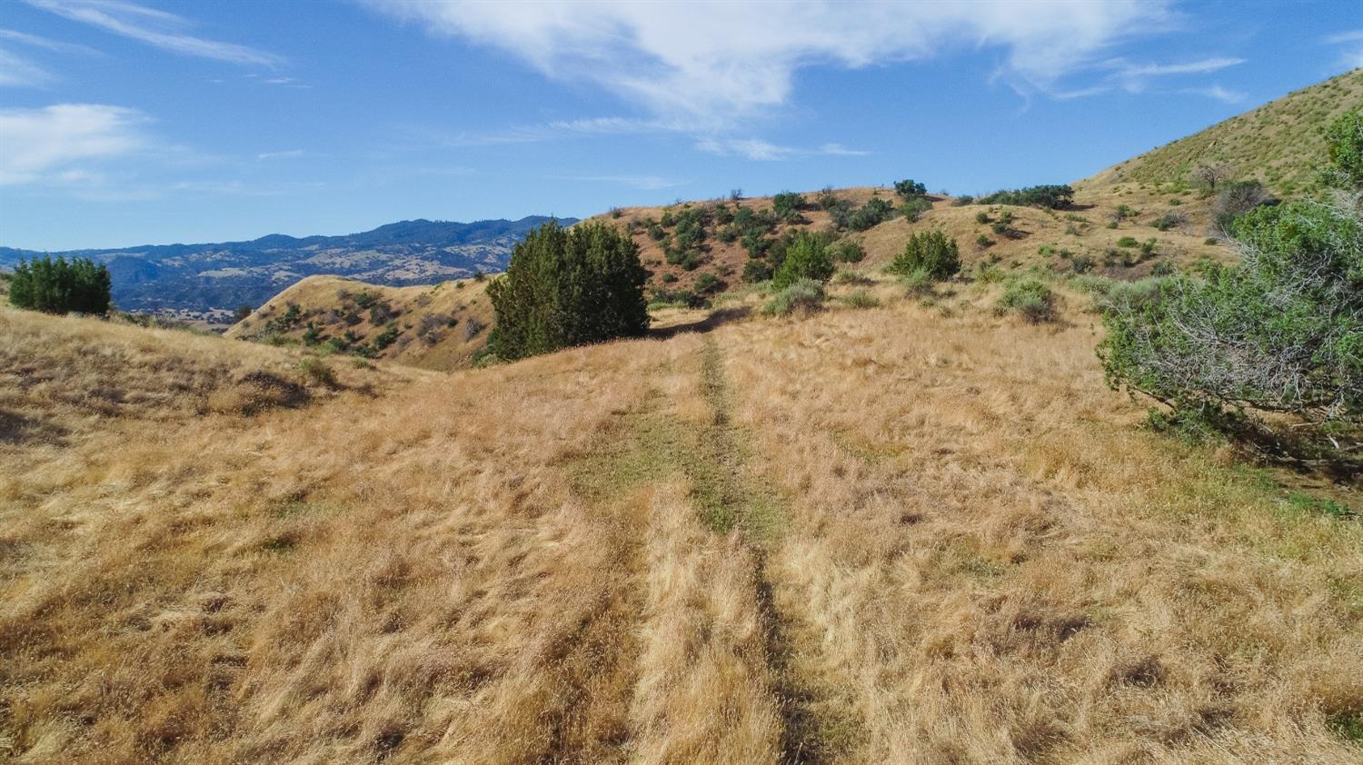 0 0 Hwy 198, Coalinga, CA 93210