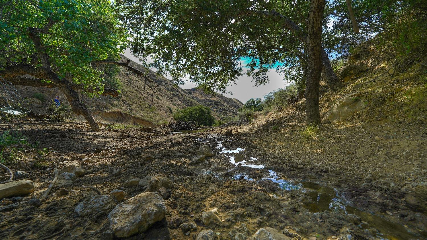 0 0 Hwy 198, Coalinga, CA 93210