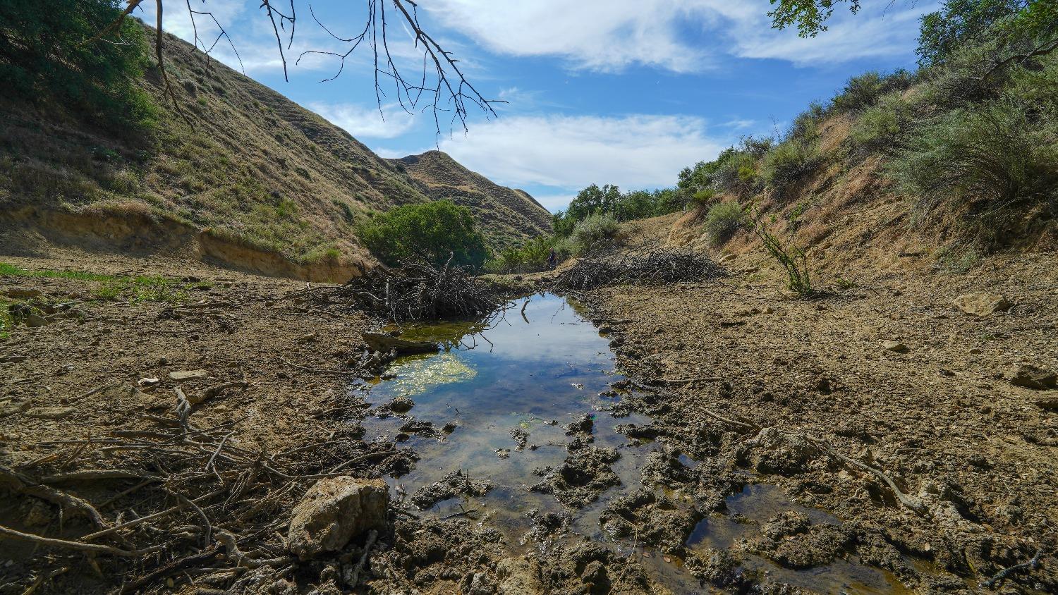 0 0 Hwy 198, Coalinga, CA 93210