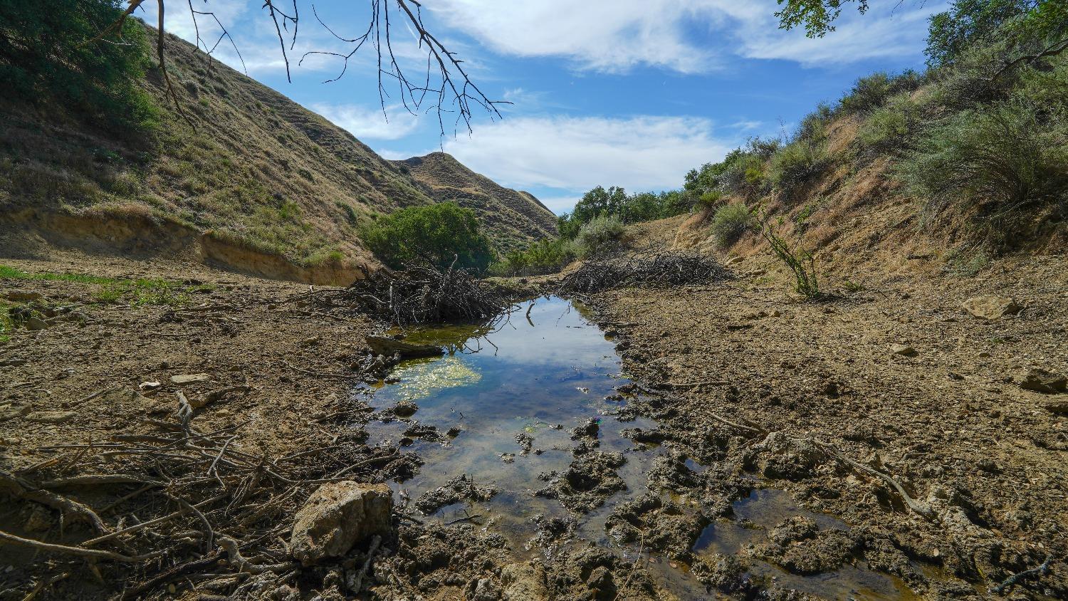 0 0 Hwy 198, Coalinga, CA 93210