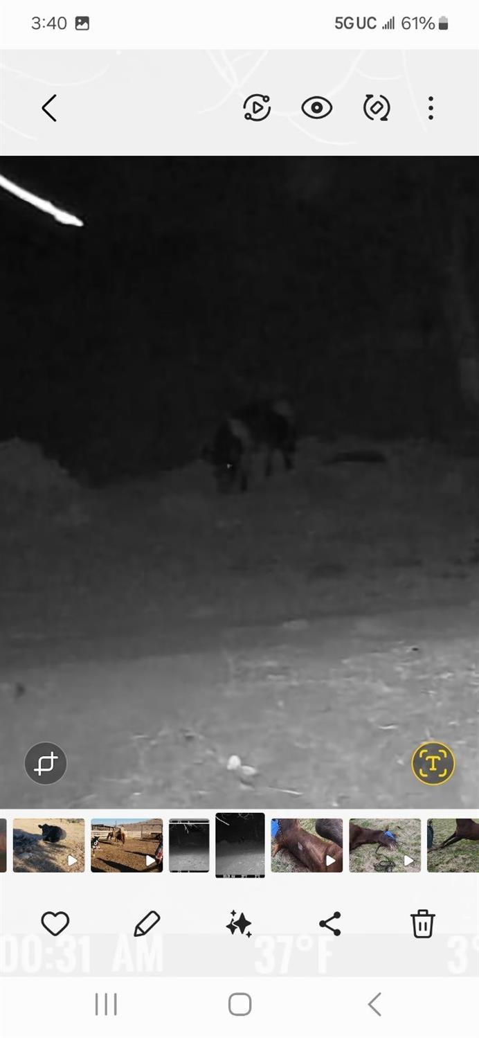 0 0 Hwy 198, Coalinga, CA 93210