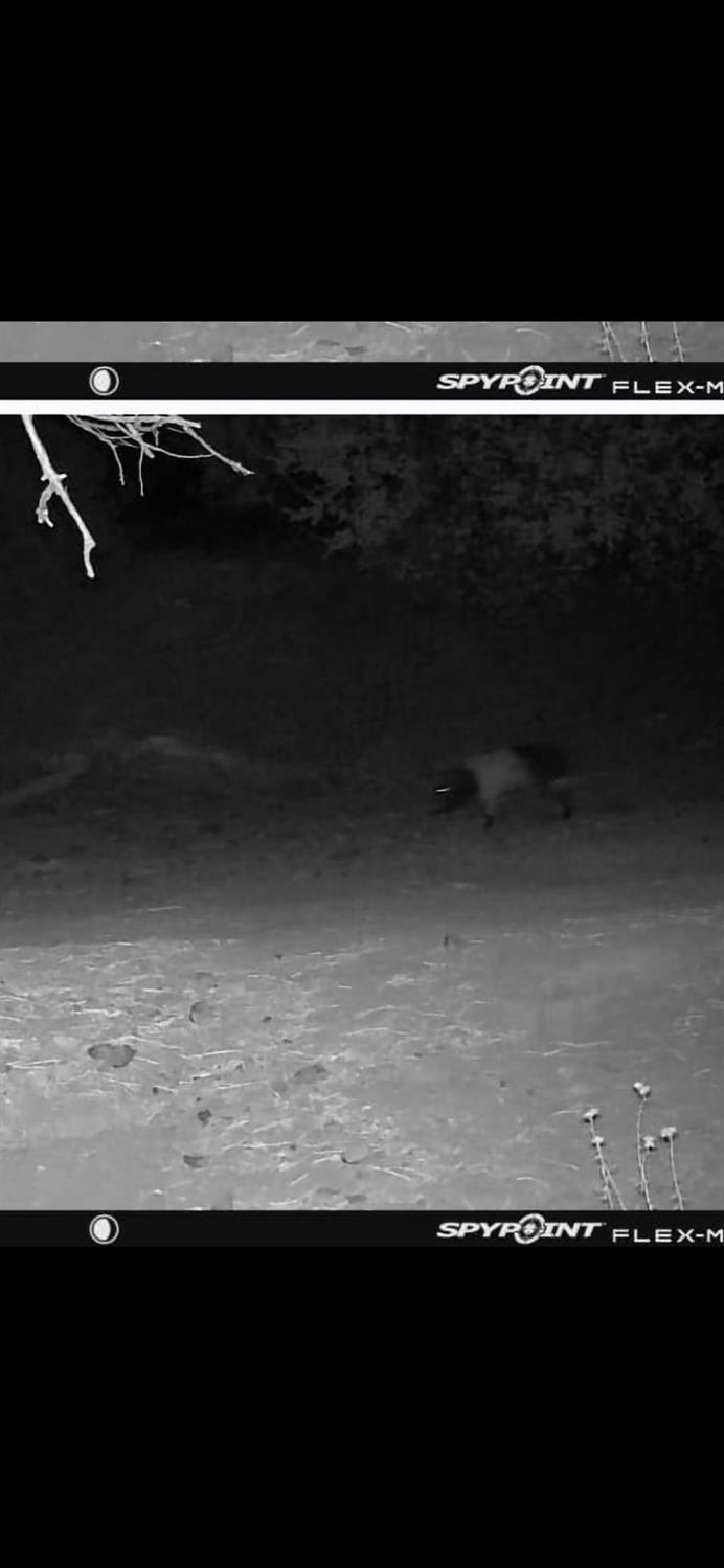 0 0 Hwy 198, Coalinga, CA 93210